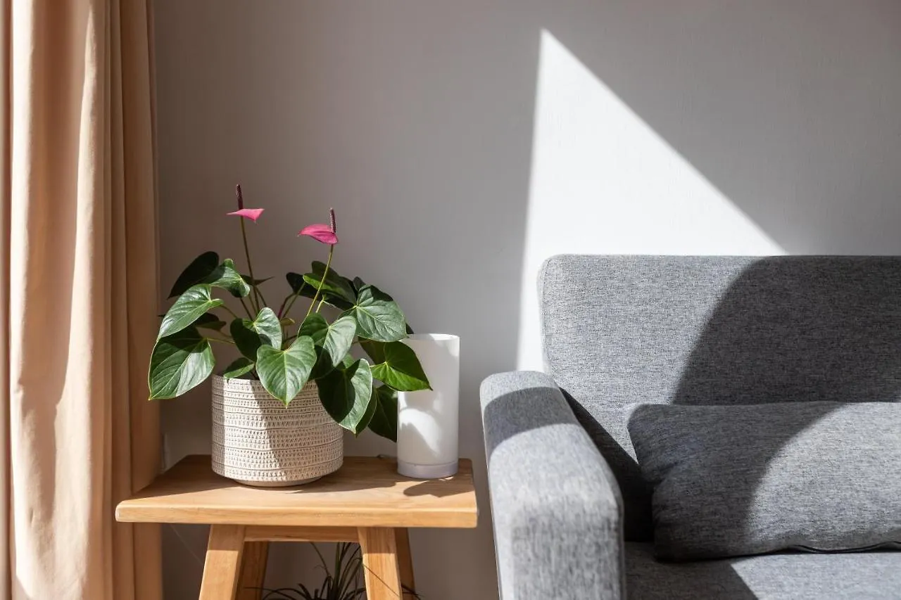 Calmahouse (Adults Only) Apartment Torremolinos